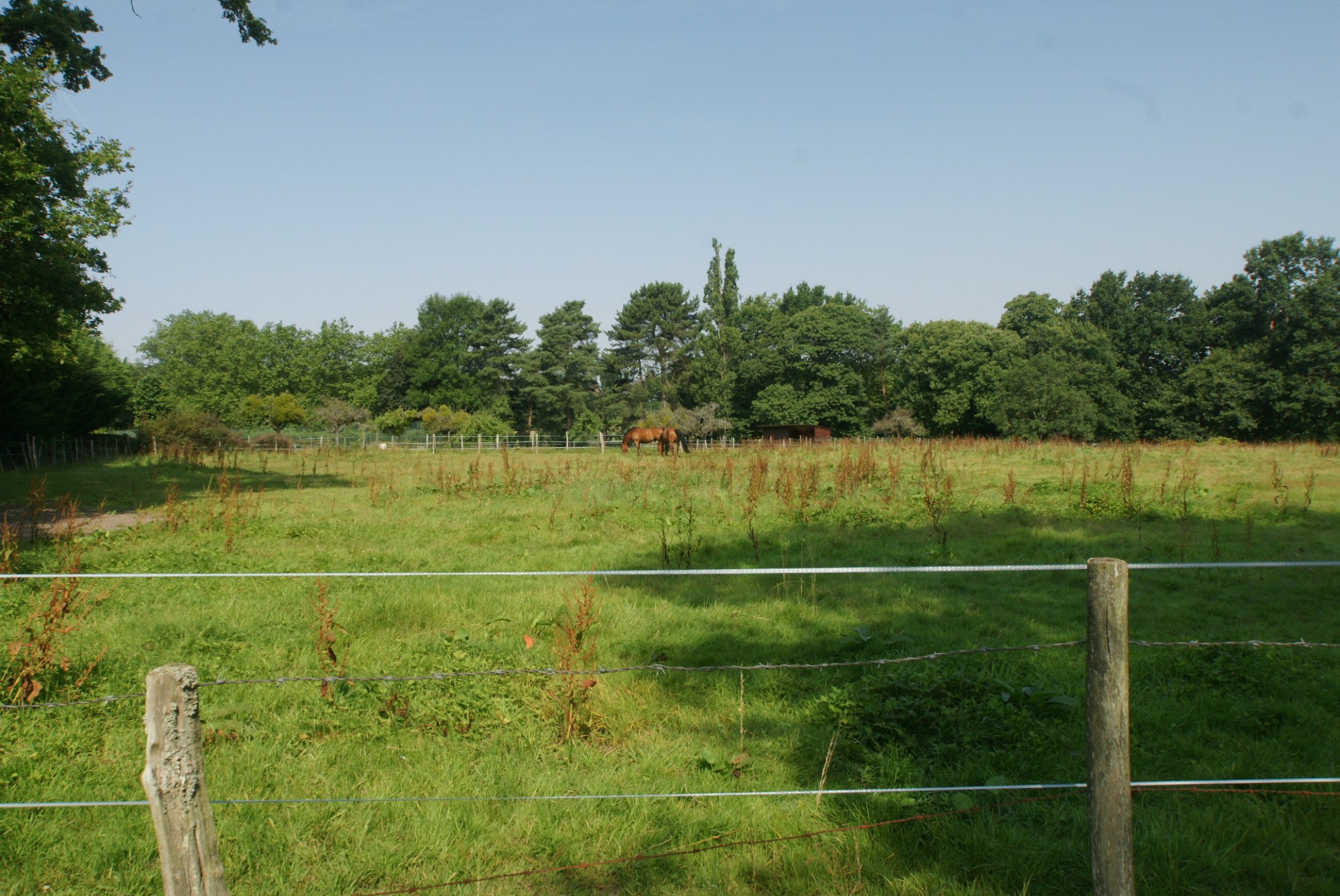 Prairie attenante à la maison